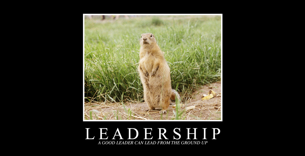 Gofer the Leader: Find a Manager Who Can Lead from Below